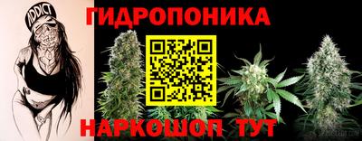 2c-b Будённовск
