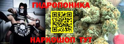 2c-b Будённовск